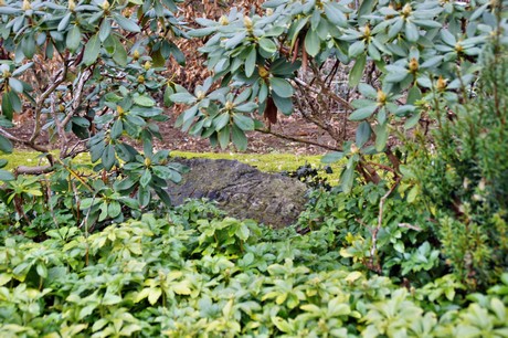 noervenich-friedhof