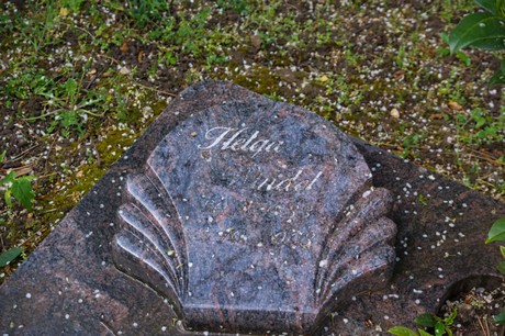 Oberelvenich