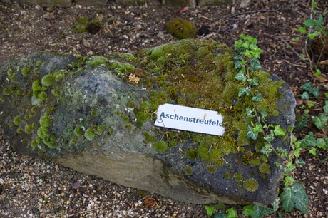 Oberelvenich