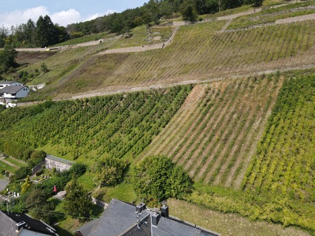 Obernhof