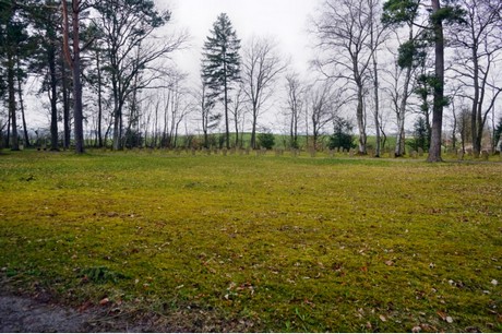 Oberreifferscheid
