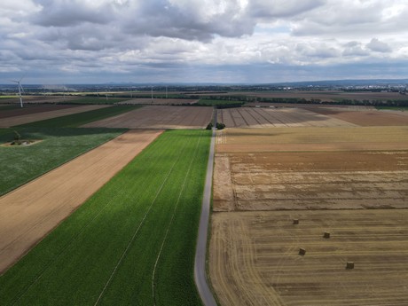 Oberwichterich