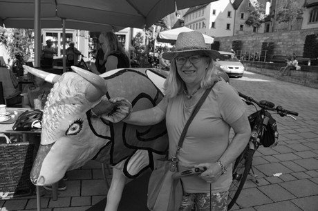 Ochsenfurt
