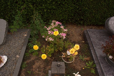 ollheim