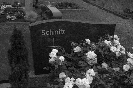 ollheim