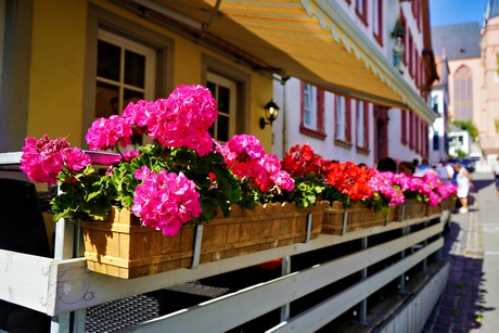 bilder