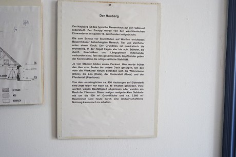 oldenswort