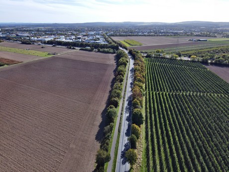 Peppenhoven