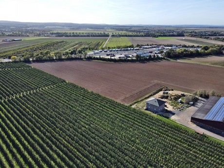 Peppenhoven