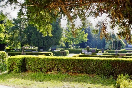Pingsdorf