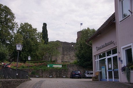 Polle