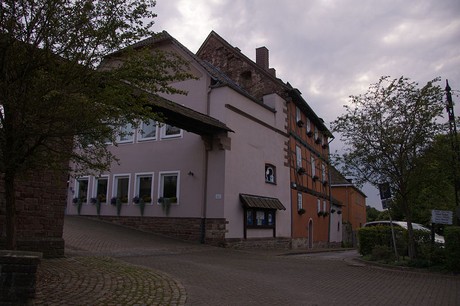 Polle