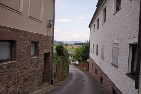 Polle