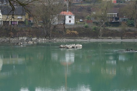 passau