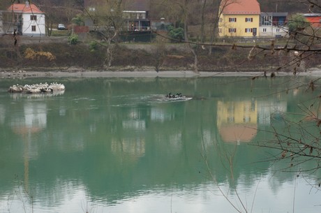 passau