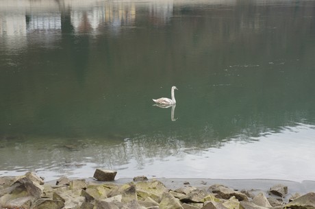 passau