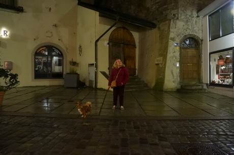 passau