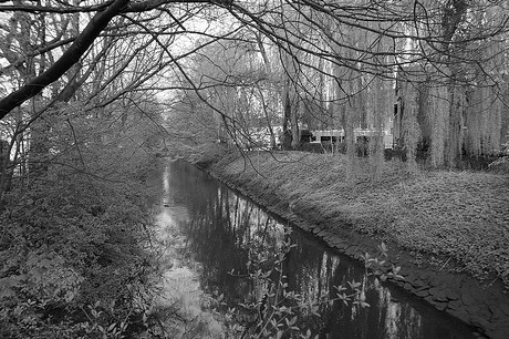 pinneberg