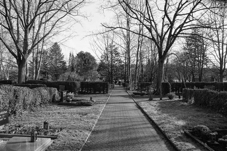 Quadrath-Ichendorf