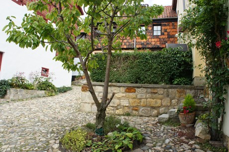 quedlinburg-muenzenberg