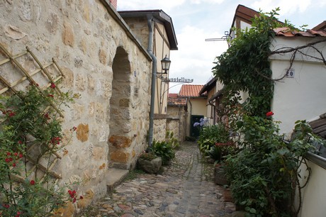 quedlinburg-muenzenberg