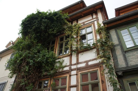 quedlinburg-morgen