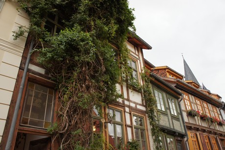 quedlinburg-morgen