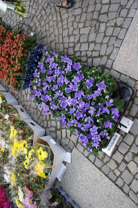 quedlinburg-markt