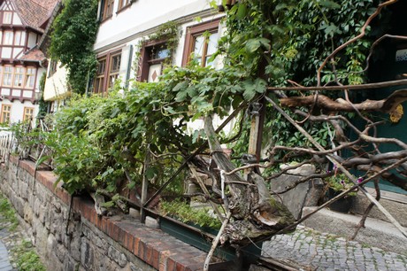 quedlinburg-rundfahrt