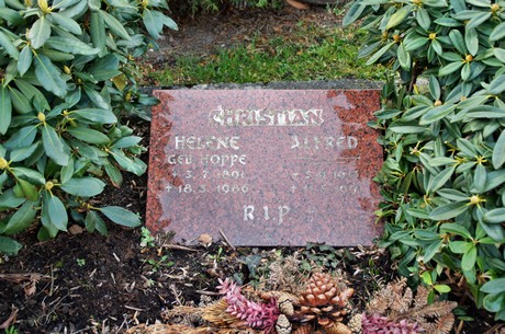 friedhof