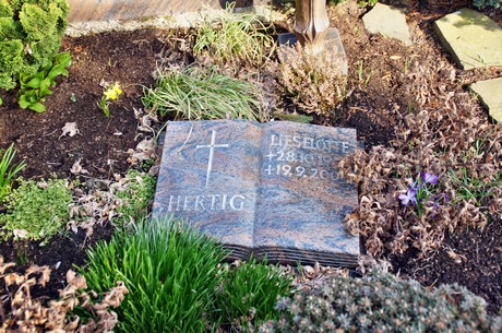 friedhof