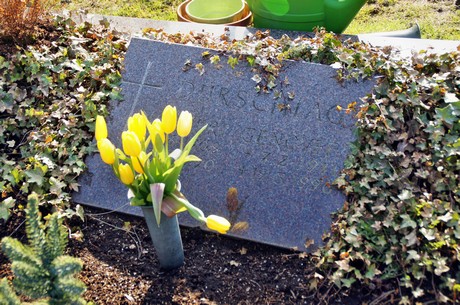 friedhof