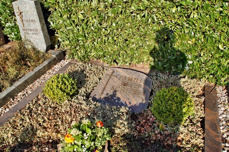 friedhof