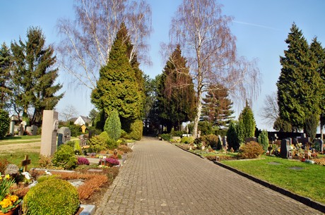 friedhof