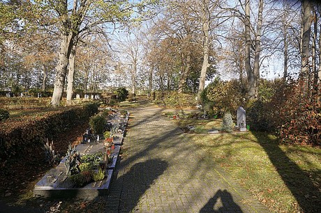 Roelsdorf