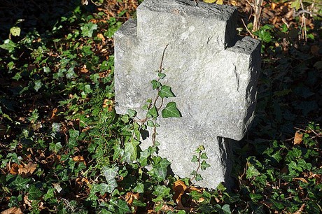 Roelsdorf