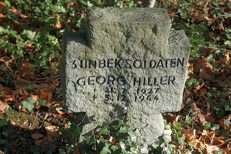 Roelsdorf