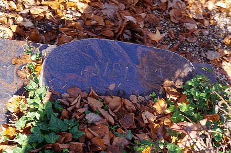 Roelsdorf