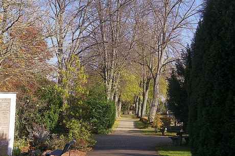 Roelsdorf