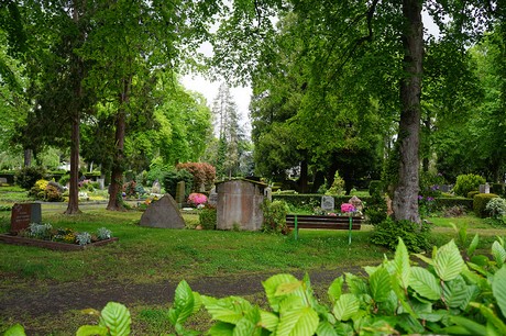 Friedhof