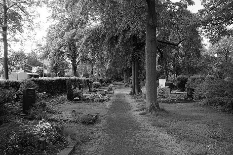 Friedhof