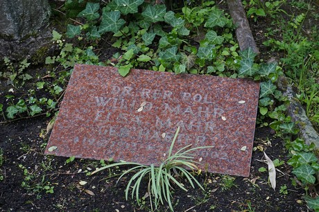 Friedhof