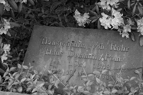 Friedhof