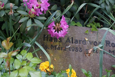 Friedhof
