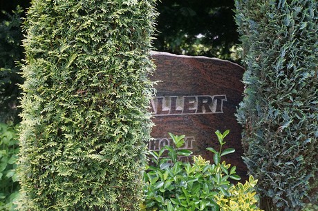Friedhof