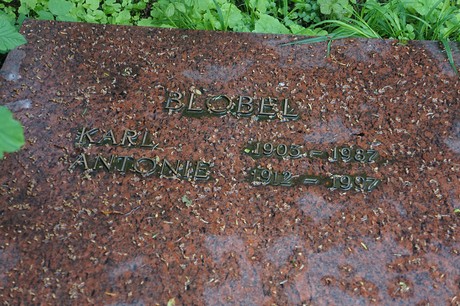 Friedhof
