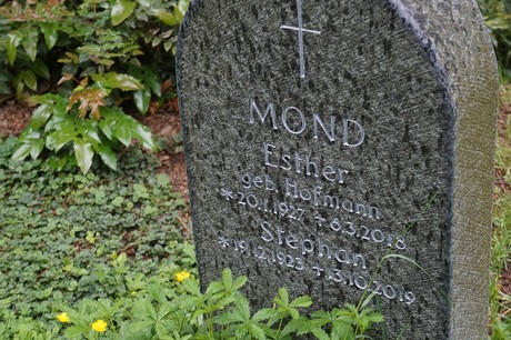 Friedhof
