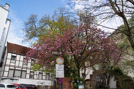 Recklinghausen