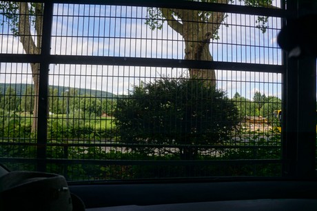 Rinteln