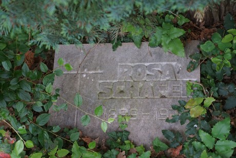 Roggendorf